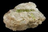 Yellow-Green Fluorapatite Crystal in Calcite - Ontario, Canada #137109-2